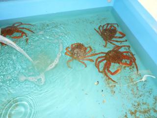 DSCN0608.jpg