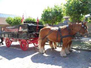 DSCN4708.JPG
