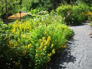 DSCN0465.JPG