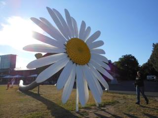 DSCN3674.JPG