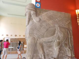 DSCN7695.JPG