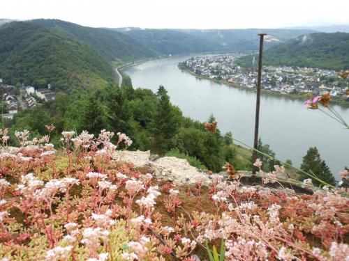 DSCN8122.JPG