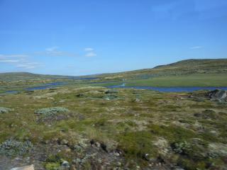 DSCN4305.JPG