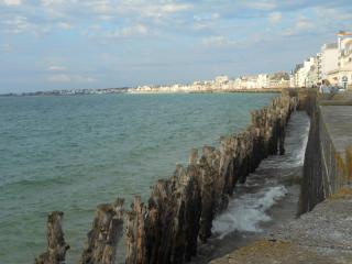 DSCN0793.jpg