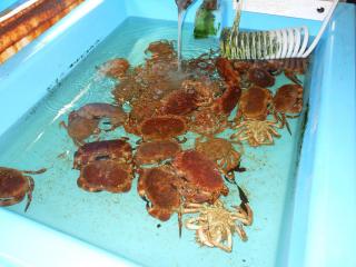 DSCN0605.jpg