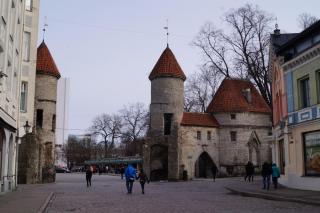 IMG_0675.JPG