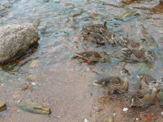 DSCN5188.JPG