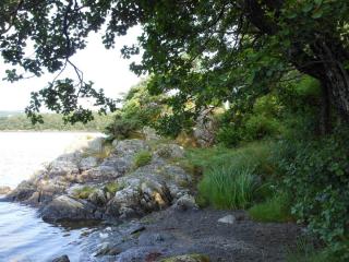 DSCN4159.JPG