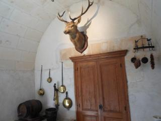 DSCN1006.jpg