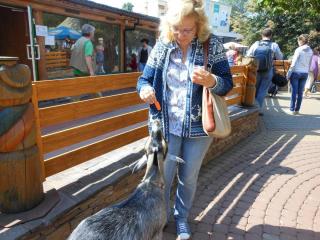 DSCN5345.JPG