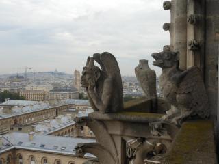 DSCN1078.jpg