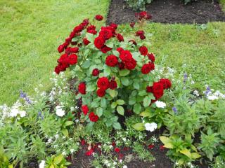 DSCN5229.JPG