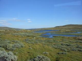 DSCN4306.JPG