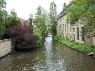 DSCN0342.jpg