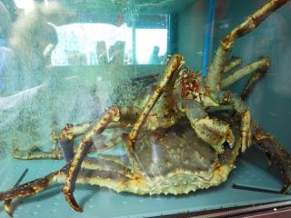 DSCN4171.JPG