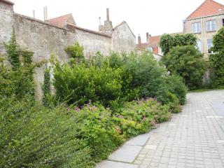 DSCN0387.jpg