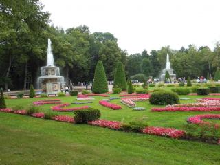 DSCN5221.JPG