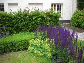 DSCN9490.JPG
