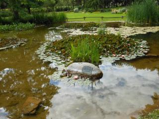 DSCN0636.jpg