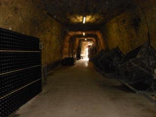 DSCN1055.jpg