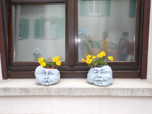 DSCN8777.JPG