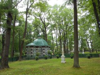 DSCN5177.JPG