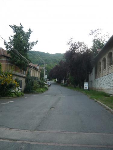 P1080287.JPG