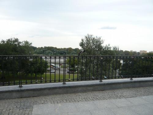 P1070850.JPG