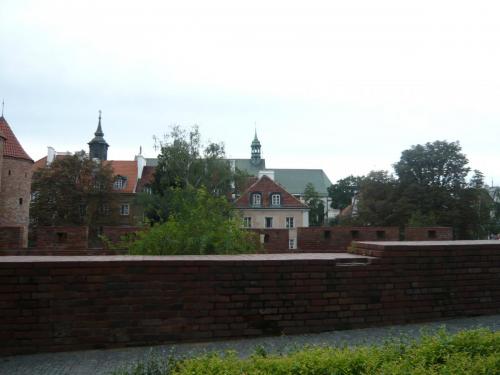 P1070842.JPG