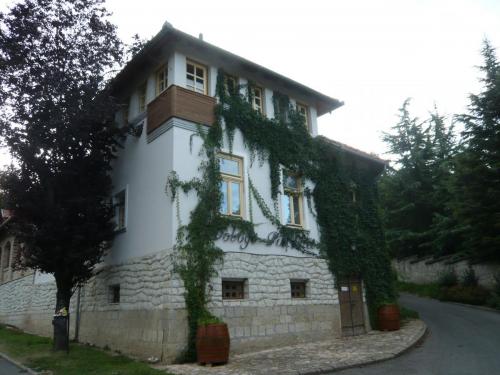 P1080286.JPG