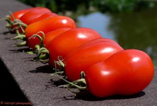 San_Marzano_Tomatoes.jpg