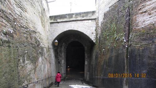 IMG_1175.JPG