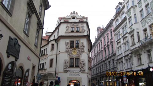 IMG_9732.JPG