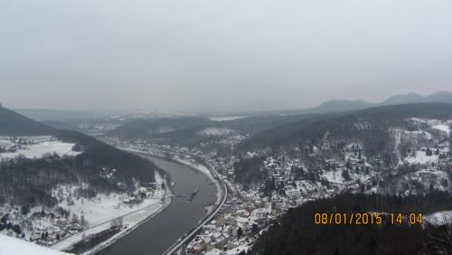 IMG_1137.JPG