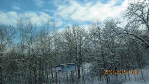 IMG_0023.JPG