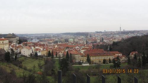IMG_9534.JPG