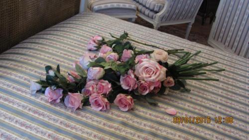 IMG_1524.JPG