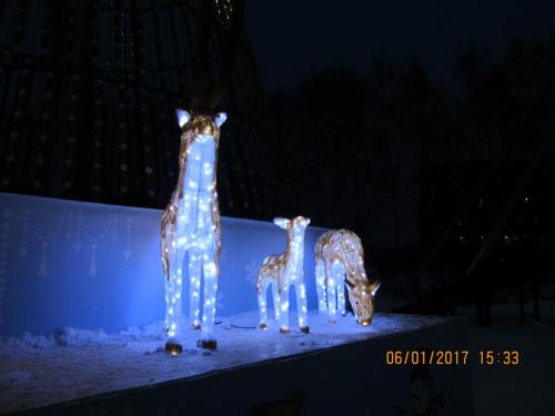 Парк Гагарина 48.JPG