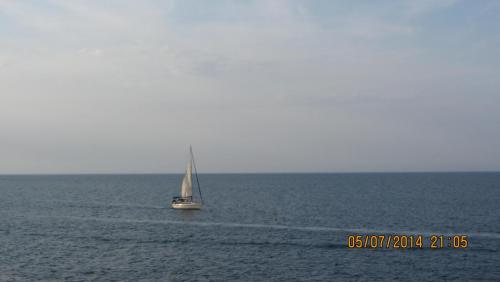 IMG_9247.JPG
