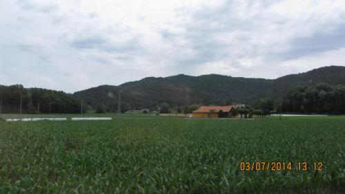 IMG_8965.JPG