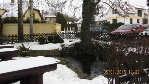 IMG_9975.JPG