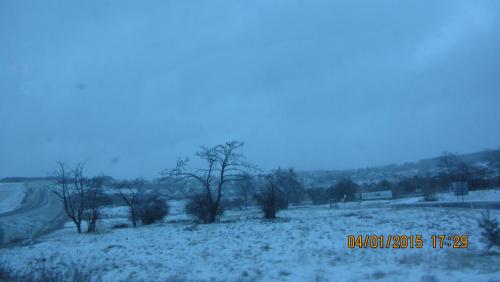 IMG_9937.JPG