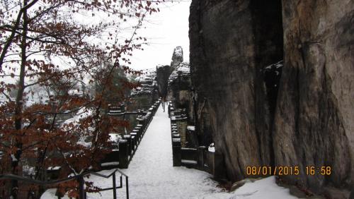 IMG_1373.JPG