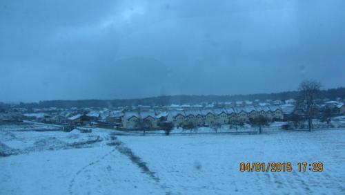 IMG_9938.JPG