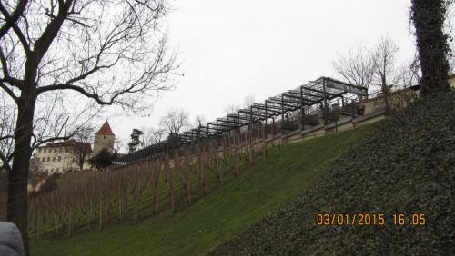 IMG_9673.JPG