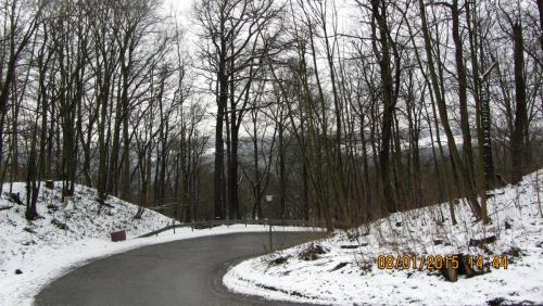 IMG_1215.JPG