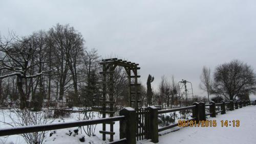 IMG_1151.JPG
