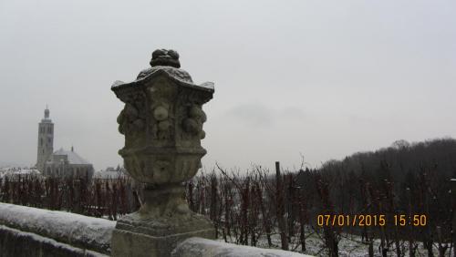 IMG_0937.JPG