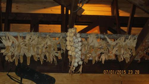 IMG_1021.JPG