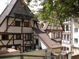 IMG_3185.JPG